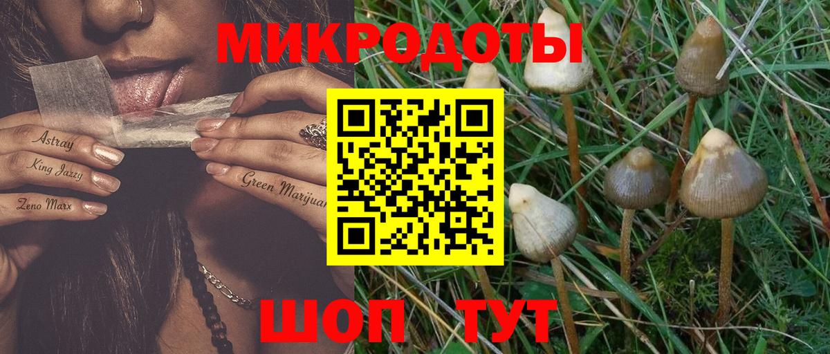 Советск  Галлюциногенные грибы мицелий  Вход с VPN 
